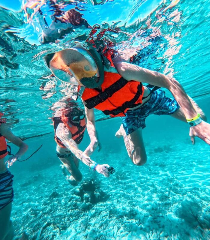 Akumal: Sea Turtles Snorkeling Tour with Park Entry Fee - Final Thoughts: Who Should Book This Tour?
