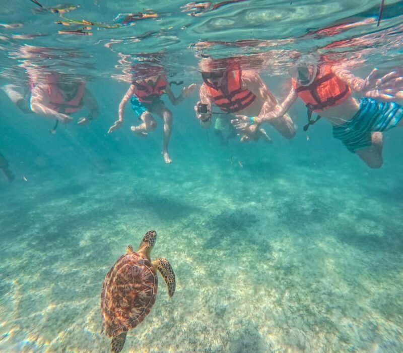 Akumal: Sea Turtles Snorkeling Tour with Park Entry Fee - Frequently Asked Questions