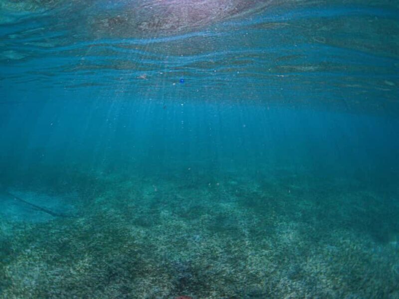 Akumal: Snorkeling and Turtle Watching Tour - FAQ