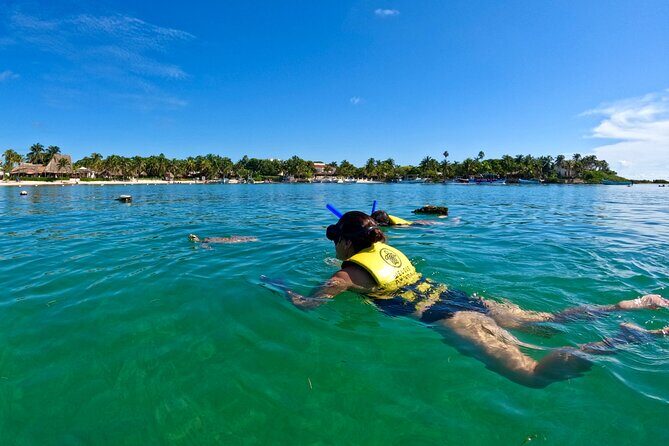 Akumal; Snorkeling with The Sea Turtles - What to Expect from Your Snorkeling Tour in Akumal