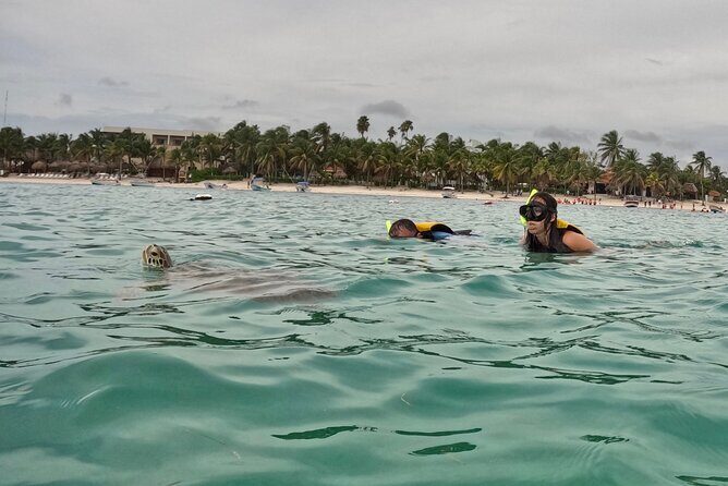 Akumal; Snorkeling with The Sea Turtles - Final Thoughts