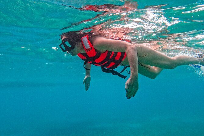 Akumal Snorkeling With Turtles - Who Will Love This Tour?