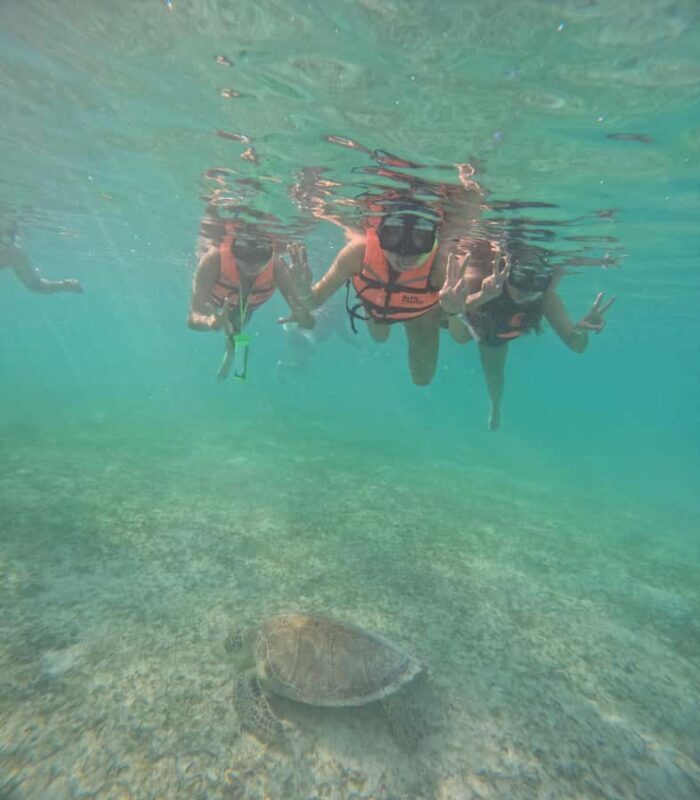 Akumal: Swim in Yalkuito and a cenote water outlet + Snorkel with turtles - Key Points