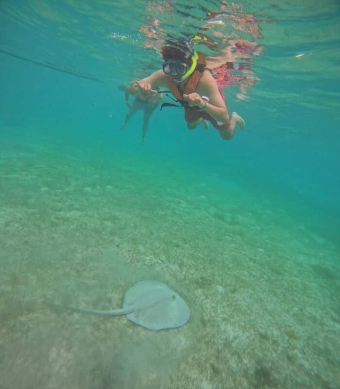 Akumal: Swim in Yalkuito and a cenote water outlet + Snorkel with turtles - An In-Depth Look at the Tour Experience