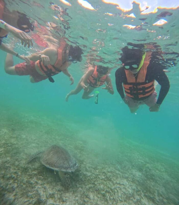Akumal: Swim in Yalkuito and a cenote water outlet + Snorkel with turtles - Who This Tour Is Best For