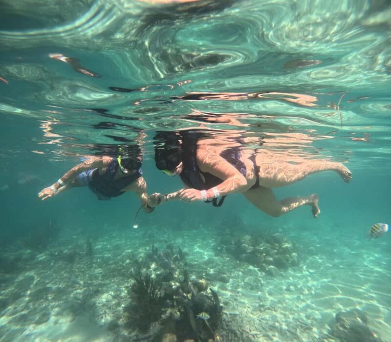 Akumal: Swim with sea turtles and coral reefs. - What to Expect from the Tour