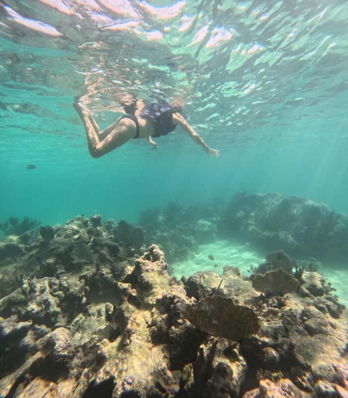 Akumal: Swim with sea turtles and coral reefs. - The Experience: What Makes It Special