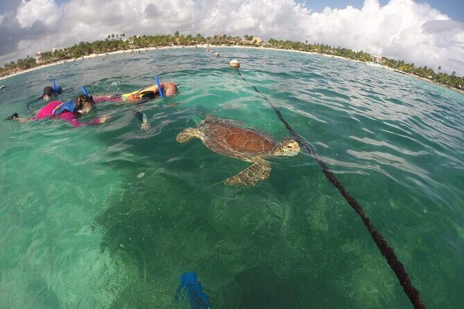 Akumal turtles sanctuary and go pro photos - Who Will Love This Tour?