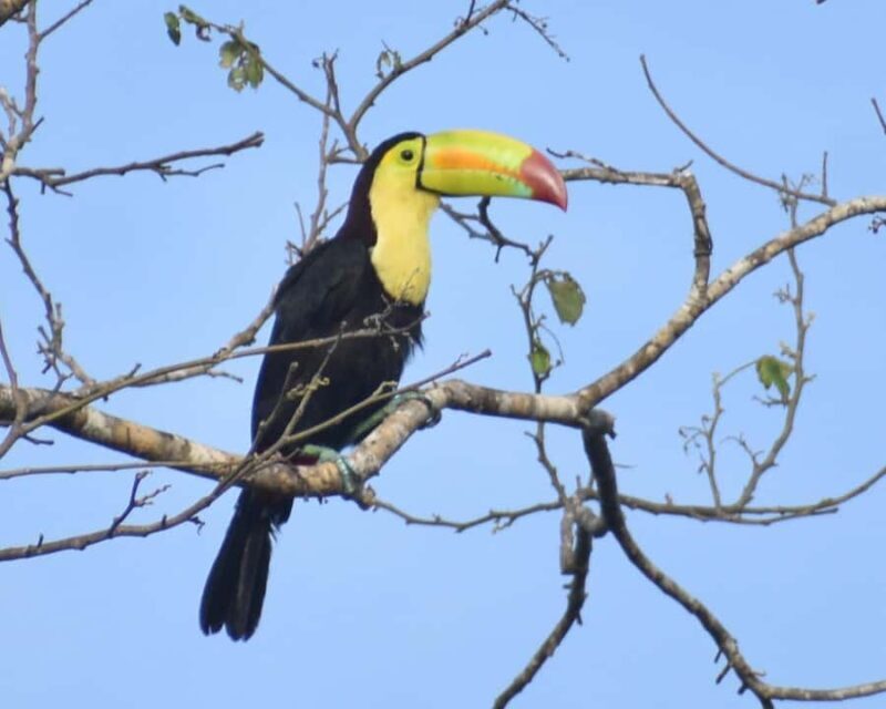 Akumal: Uxuxubi Ecotourism Trip with Kayaking - Key Points