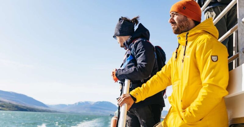 Akureyri: 3-Hour Classic Whale Watching Tour by Ship - Wildlife Sightings and the Reality of Nature