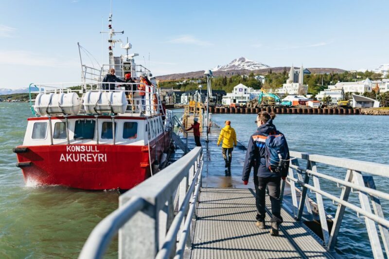 Akureyri: 3-Hour Classic Whale Watching Tour by Ship - Value for Money and Additional Perks