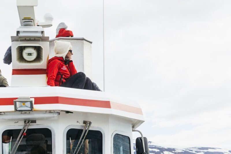 Akureyri: 3-Hour Classic Whale Watching Tour by Ship - Practical Details and Tips
