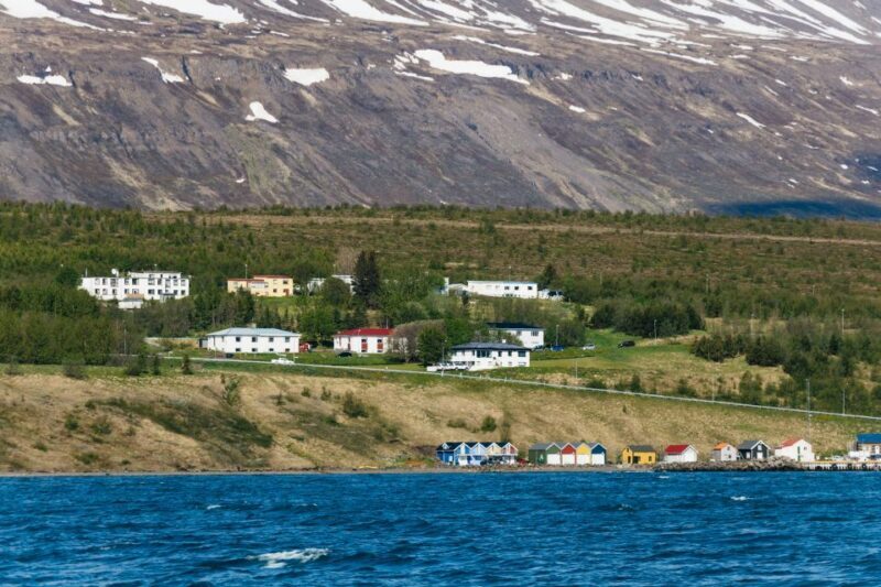 Akureyri: 3-Hour Classic Whale Watching Tour by Ship - Final Thoughts