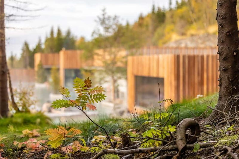 Akureyri: Admission to Forest Lagoon - What Makes Forest Lagoon Stand Out?