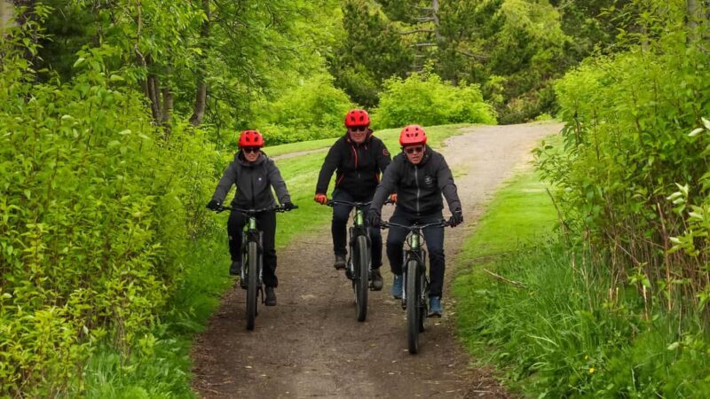 Akureyri: E-Bike Tour with Forest Lagoon Entry - An Authentic Look at the Akureyri E-Bike Tour