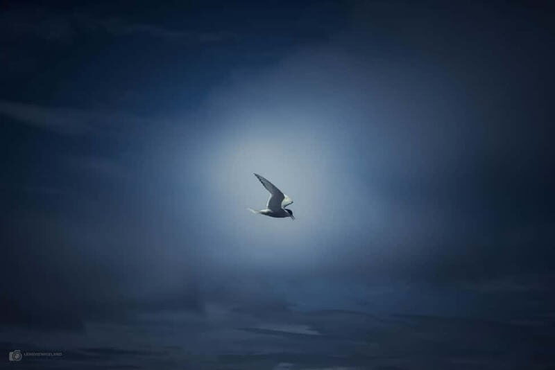 Akureyri: Private Photo tour - Final Thoughts