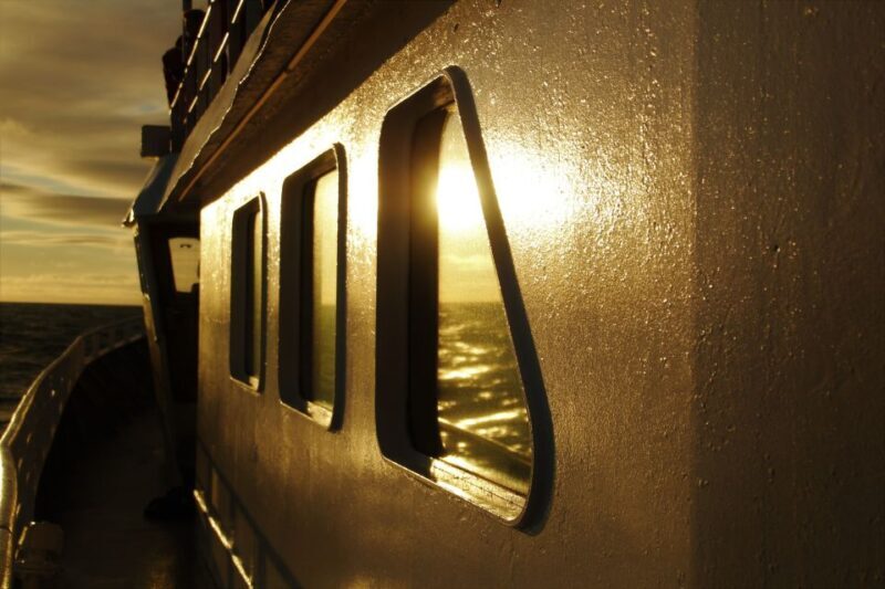 Akureyri: Whale Watching in the Midnight Sun - Detailed Experience Breakdown