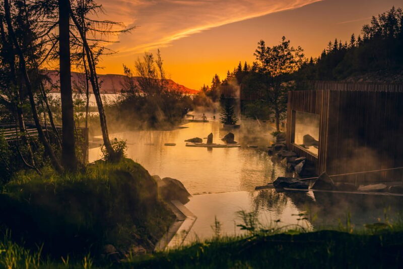 Akureyri: Whale Watching Tour & Forest Lagoon Entrance - Who Will Love This Tour?