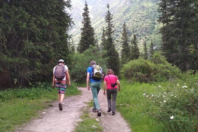 Ala Archa National Park - Wildlife and Birdlife: Nature’s Soundtrack