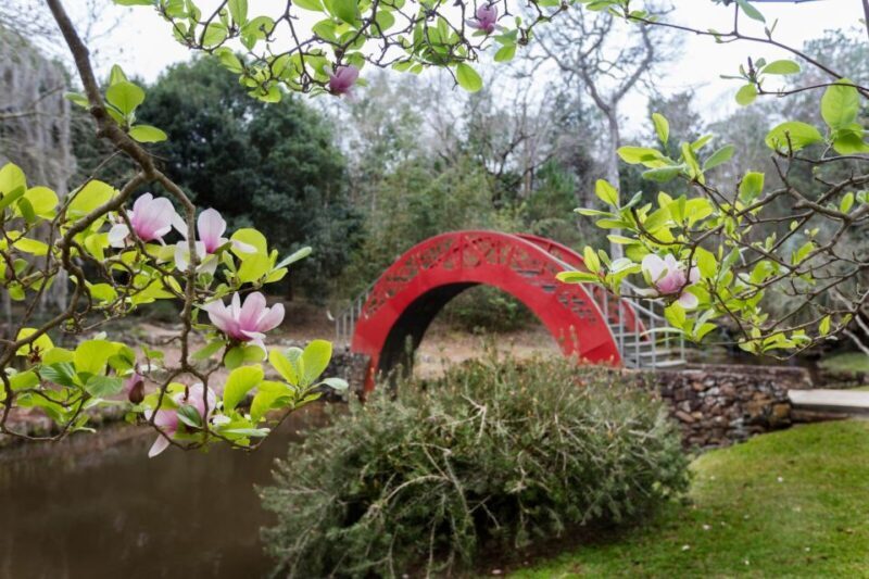 Alabama: 3-Day Mobile City Multi-Attraction Pass - The Value of the Mobile Multi-Attraction Pass