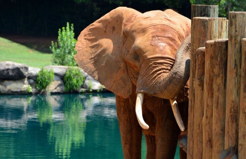 Alabama: 3-Day Montgomery City Multi-Attraction Pass - FAQ