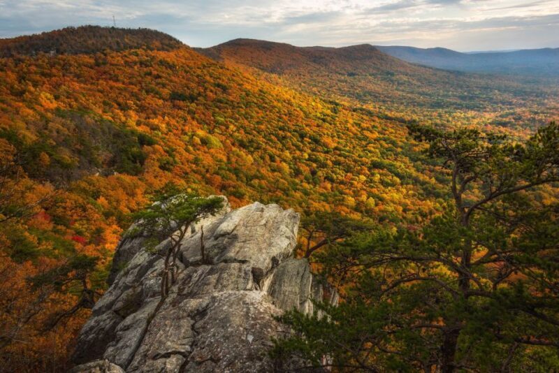 Alabama: Anniston and East Central Multi-Attraction Pass - FAQ