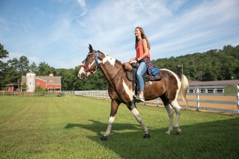 Alabama: Birmingham Area Multi-Attraction Pass - FAQ