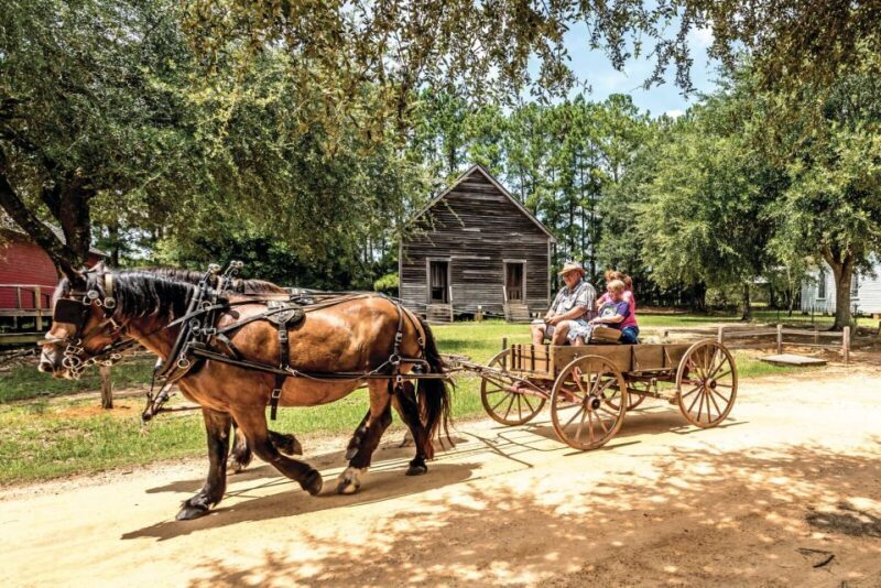 Alabama: Dothan-Eufaula Area Multi-Attraction Pass - Practical Tips for Travelers