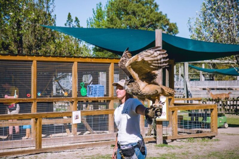 Alabama: Gulf Shores/Orange Beach Area Multi-Attraction Pass - An Honest Breakdown of the Gulf Shores/Orange Beach Multi-Attraction Pass