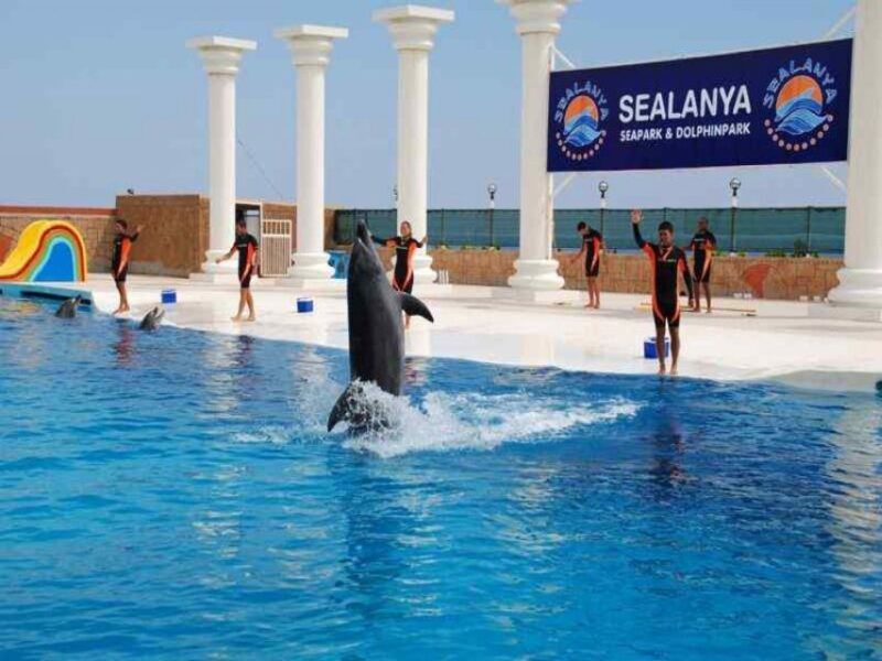 Alanya: Dolphin and Seal Show Ticket with Hotel Transfers - An Overview of the Experience