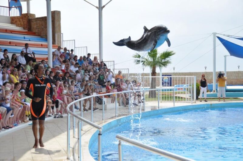 Alanya: Dolphin and Seal Show Ticket with Hotel Transfers - Pros and Cons