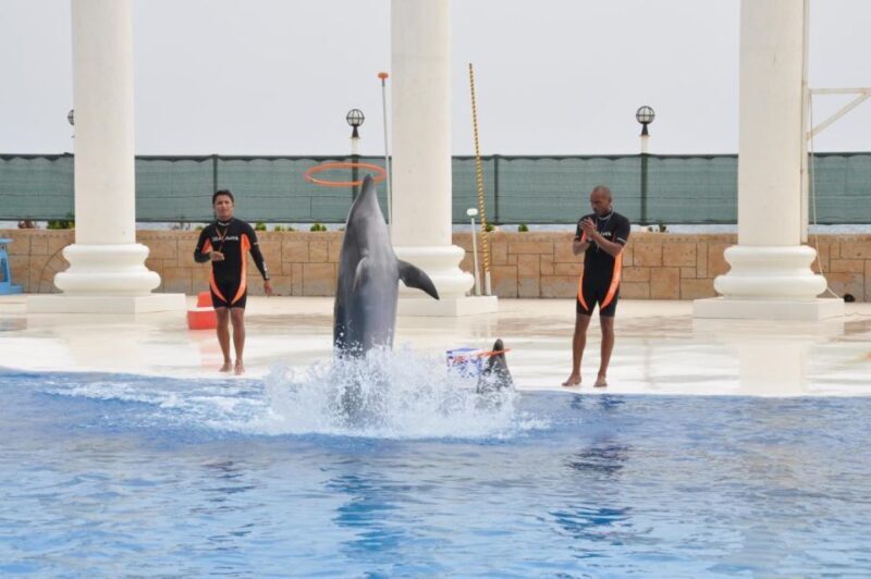 Alanya: Dolphin and Seal Show Ticket with Hotel Transfers - FAQ