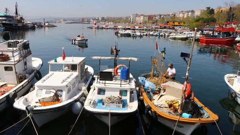 Alanya: Fishing Tour with Lunch and Hotel Transfers - Exploring the Itinerary: What Really Happens on This Fishing Tour