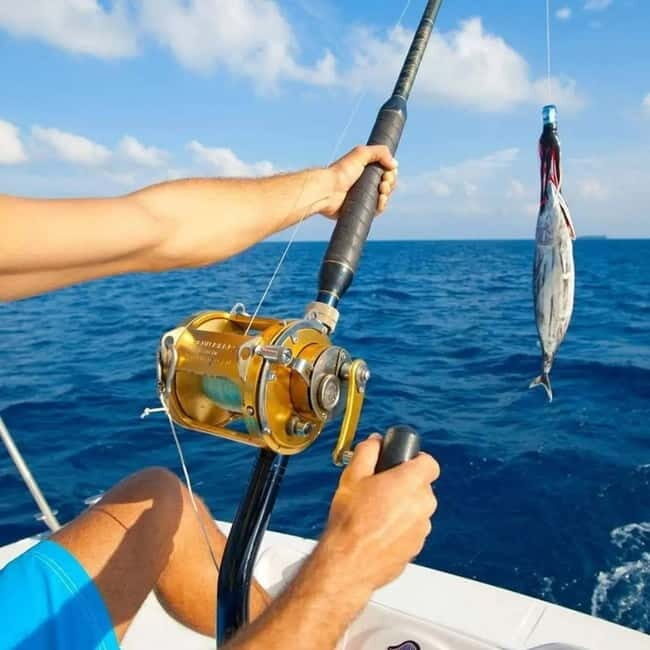 Alanya: Fishing Tour with Lunch and Hotel Transfers - FAQ