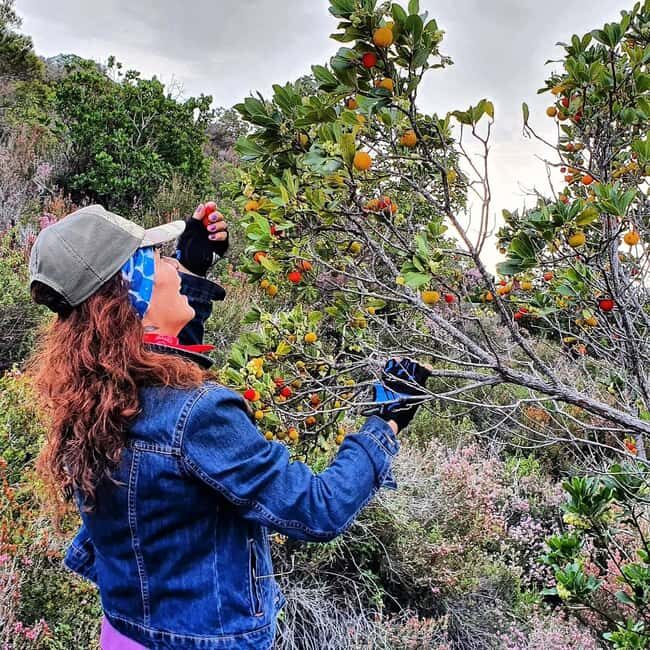 Alanya: Full-Day City Tour with Cable Car,Dimçay & Boat Trip - A Detailed Look at the Alanya Full-Day Tour