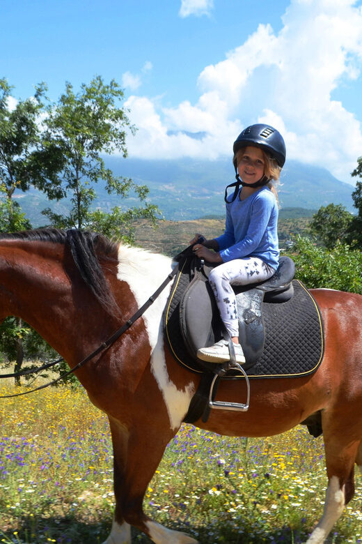 Alanya: Horse Riding Club Transfer Service - An In-Depth Look at the Horse Riding Experience in Alanya