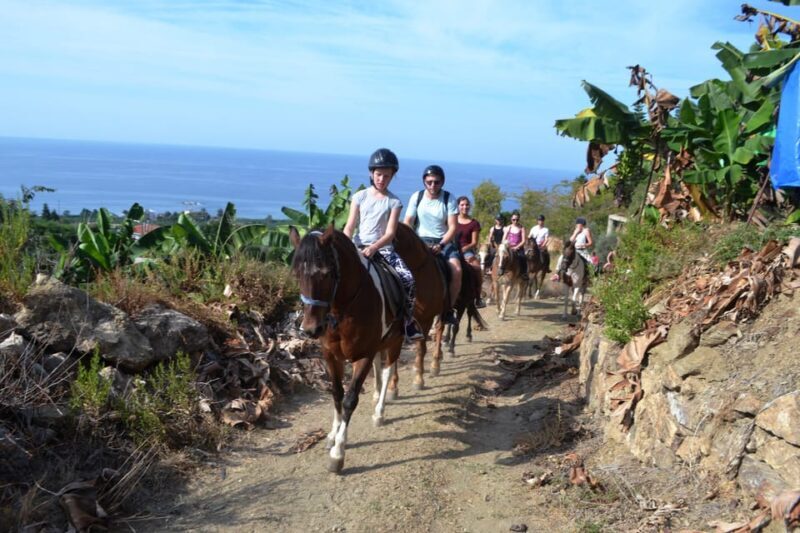 Alanya: Horse Riding Club Transfer Service - Final Thoughts: Is This Tour Right for You?