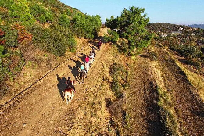 Alanya Horse Riding Experience - The Practicalities & Logistics