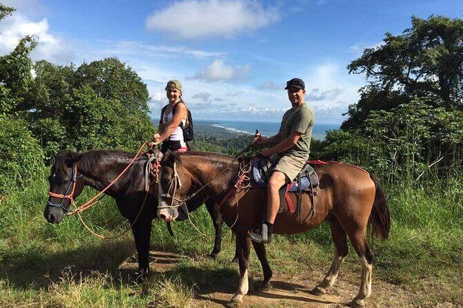 Alanya Horse Riding Experience With Free Hotel Transfer - Alanya Horse Riding Experience With Free Hotel Transfer: A Complete Guide