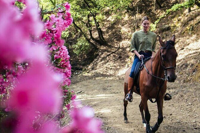 Alanya Horse Riding Experience With Free Hotel Transfer - Key Points