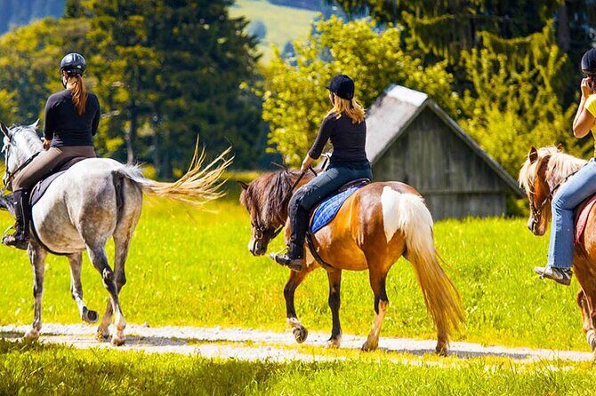 Alanya Horse Riding Experience With Free Hotel Transfer - Analyzing the Value