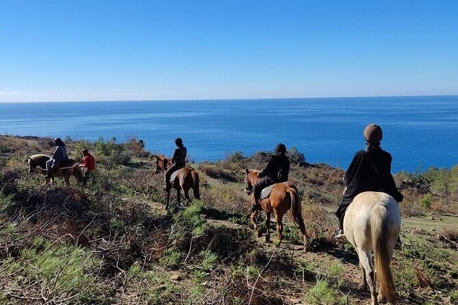 Alanya Horseback Riding in the Taurus Mountains with Transfer - Who Will Enjoy This Tour?