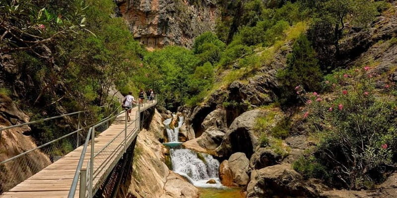 Alanya: Sapadere Canyon Tour w/Scenic Views and Lunch - An In-Depth Look at the Sapadere Canyon Tour