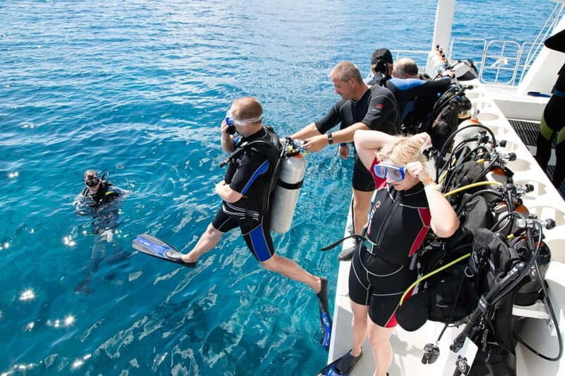 Alanya: Scuba Diving Adventure for Beginners & Professionals - Key Points