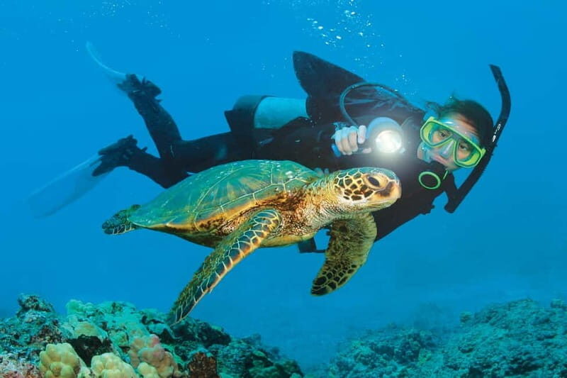 Alanya: Scuba Diving Adventure for Beginners & Professionals - The Experience in Detail