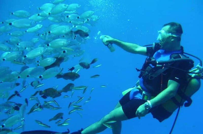 Alanya: Scuba Diving Adventure for Beginners & Professionals - FAQs