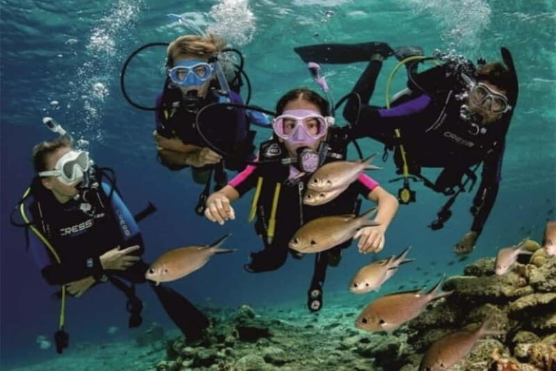 Alanya: Scuba Diving Adventure for Beginners & Professionals - The Sum Up