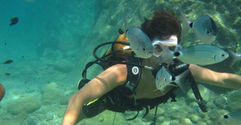 Alanya: Scuba Diving Experience with Lunch - Key Points