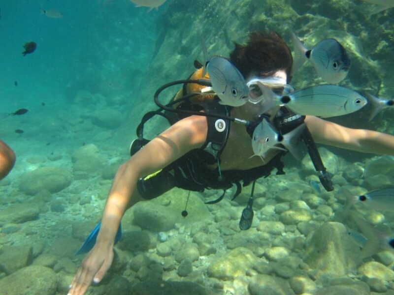 Alanya: Scuba Diving Experience with Lunch - What to Expect on the Day