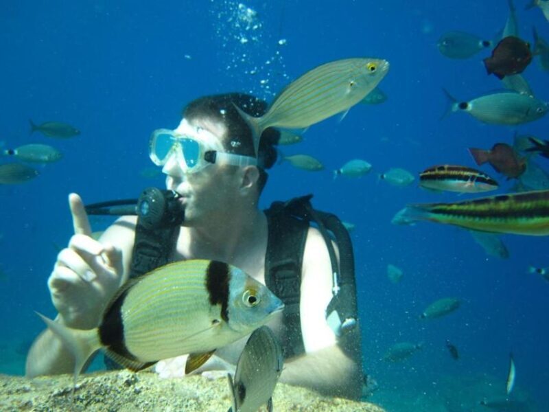 Alanya: Scuba Diving Experience with Lunch - Who Is This Tour Best For?